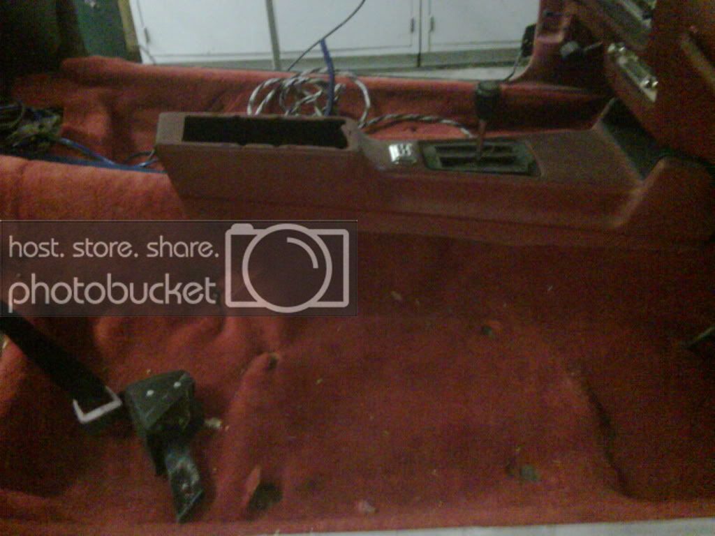IMG00531-20100106-1817.jpg