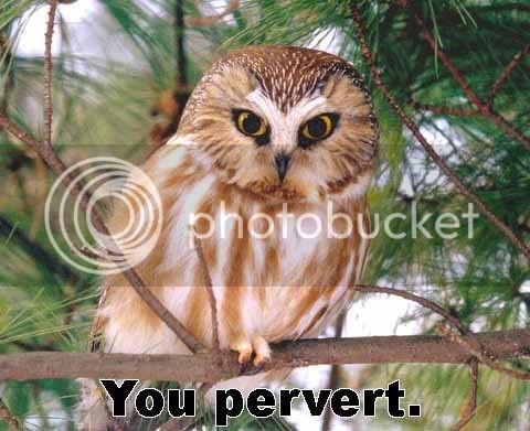 uprvrt.jpg