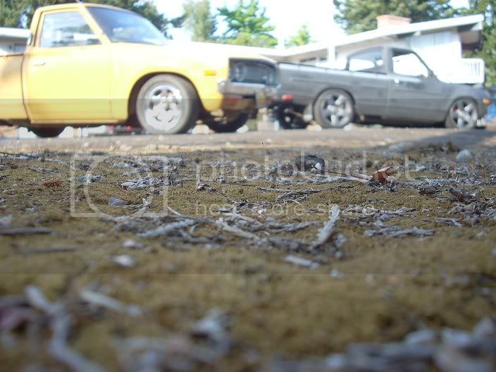 DSCN1965.jpg