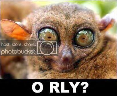 orly.jpg