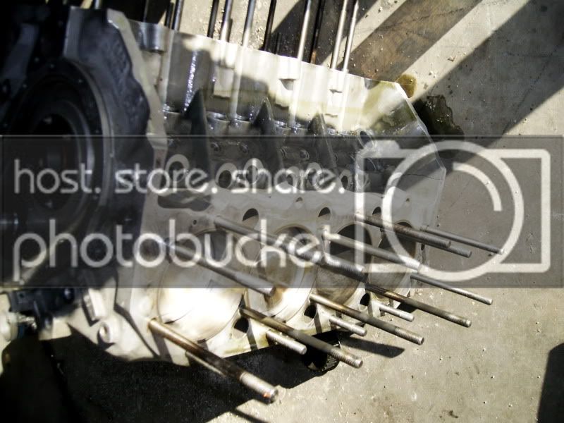 PICT0520.jpg