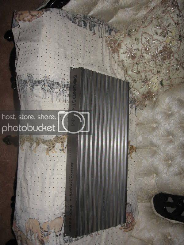NEWPICZ309.jpg
