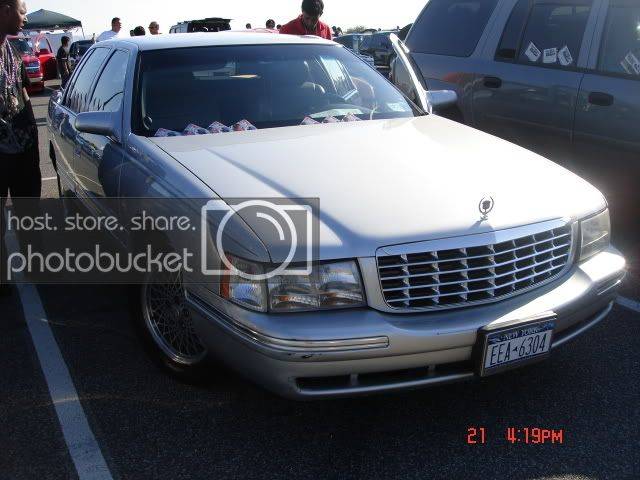 Picture3129.jpg