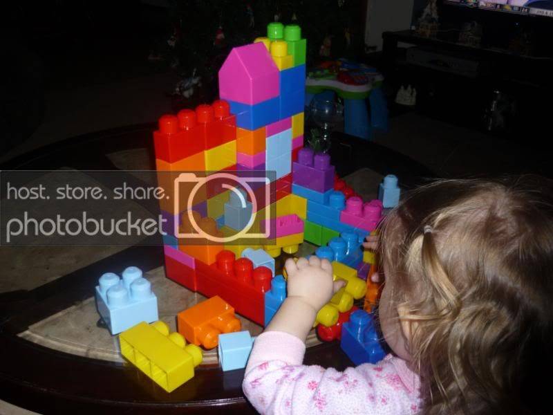 P1020575.jpg