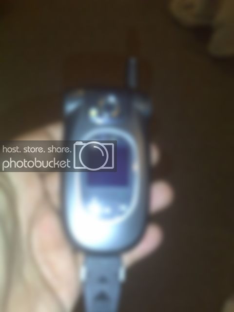 LGcell009.jpg