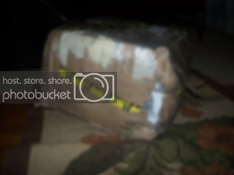 100_4388.jpg