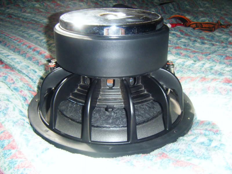 DSCF0302.jpg