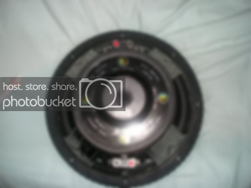 P1190368.jpg