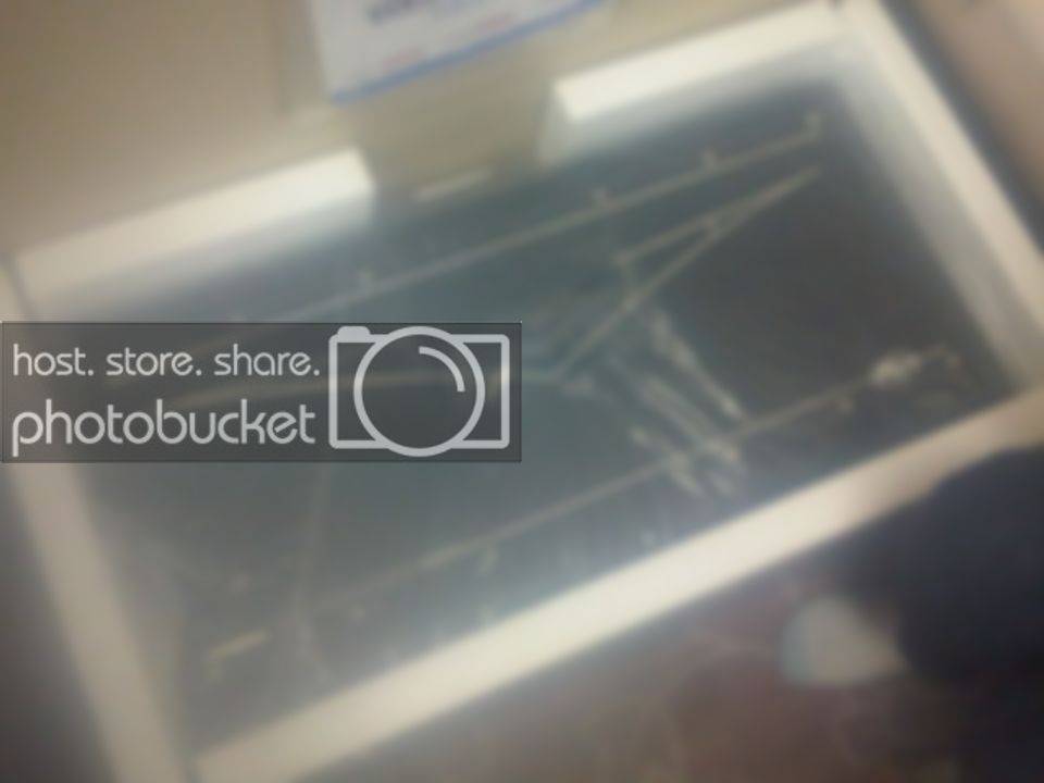 IMG00033-20110114-2029.jpg