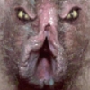 th_22647_nastypuss_123_1047lo.jpg