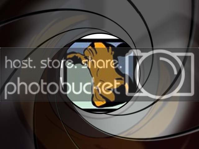 007_Cow.jpg