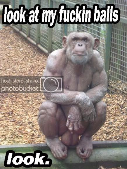 monkeyballs.jpg