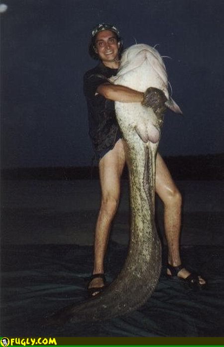 wierd_fish.jpg