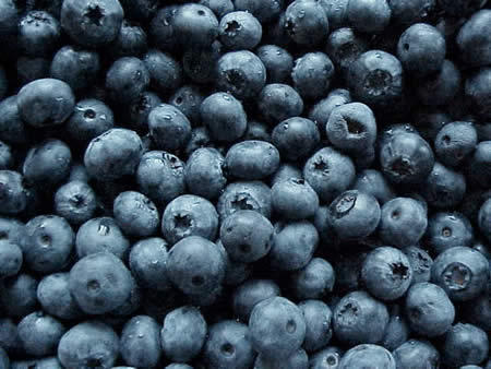 blueberries.jpg