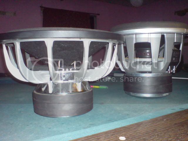 DSC01001-1.jpg