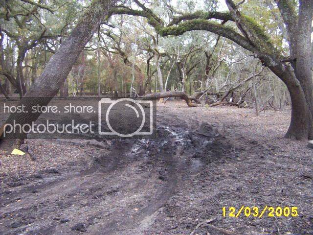 Picture066.jpg