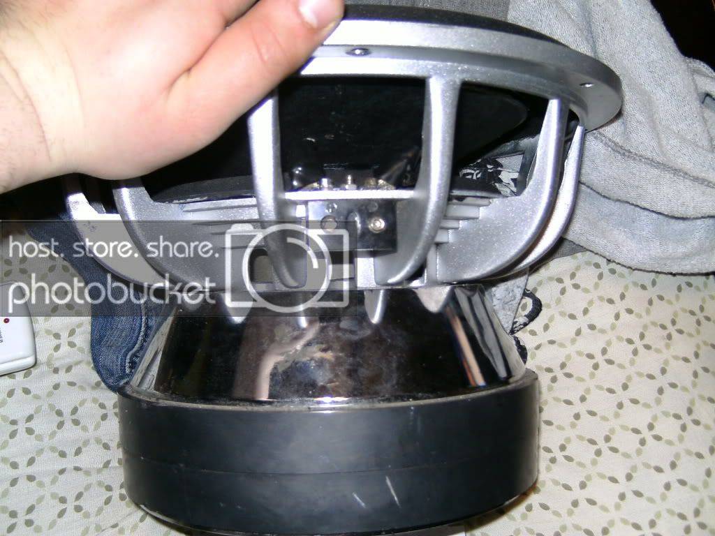 PICT0366.jpg
