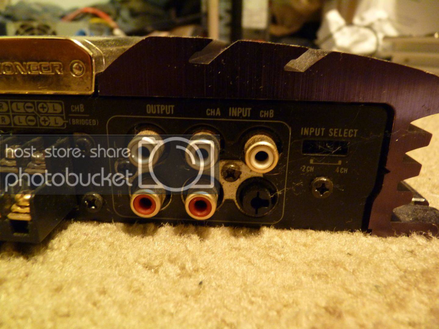 a448d202.jpg