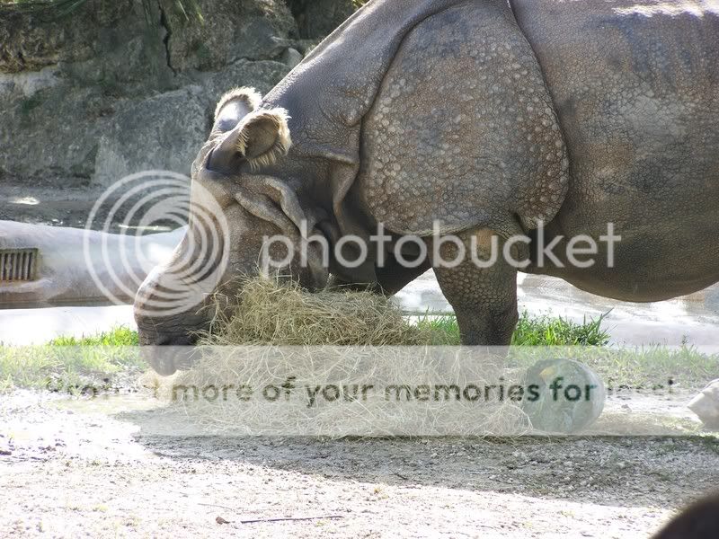 zoo064.jpg