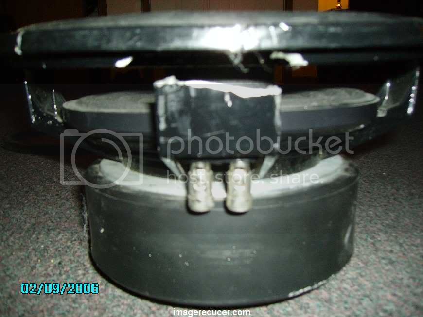 Pictures224.jpg