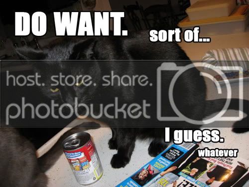 do-want-sort-of-i-guess-wha.jpg