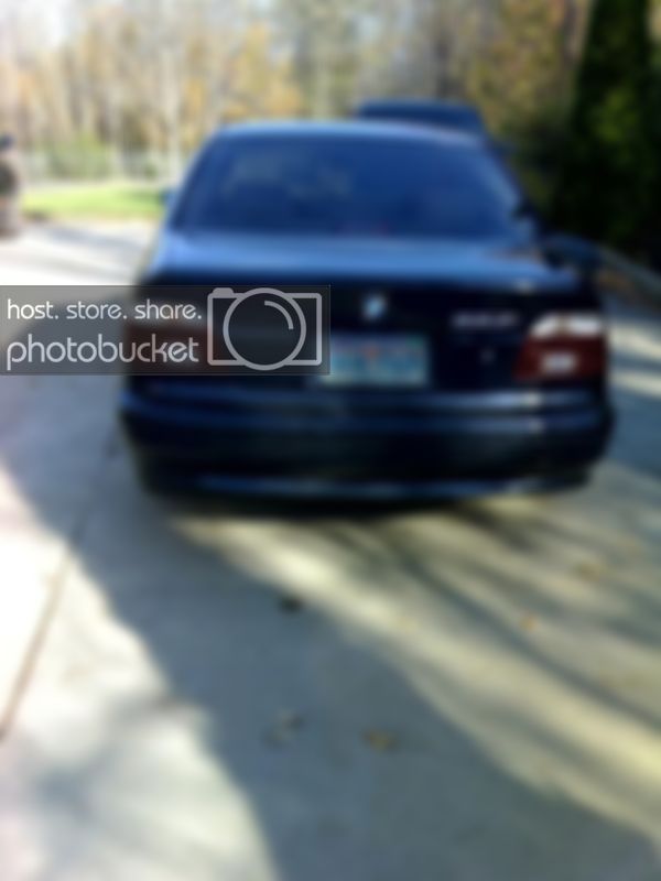 11-03-07_1524tint.jpg