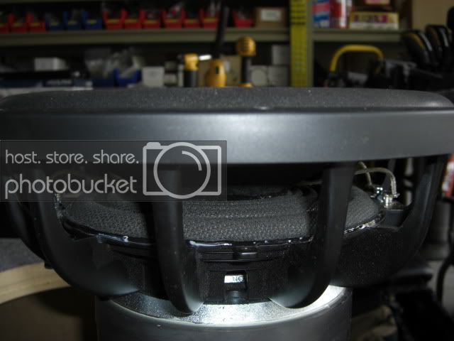 CIMG0488.jpg