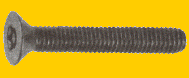 SecurityTorxFlatHeadMS78x189.gif