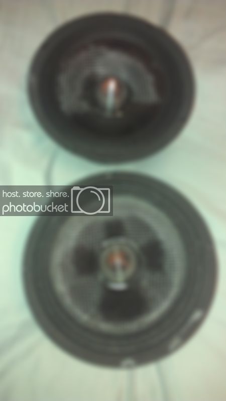 IMAG0156.jpg