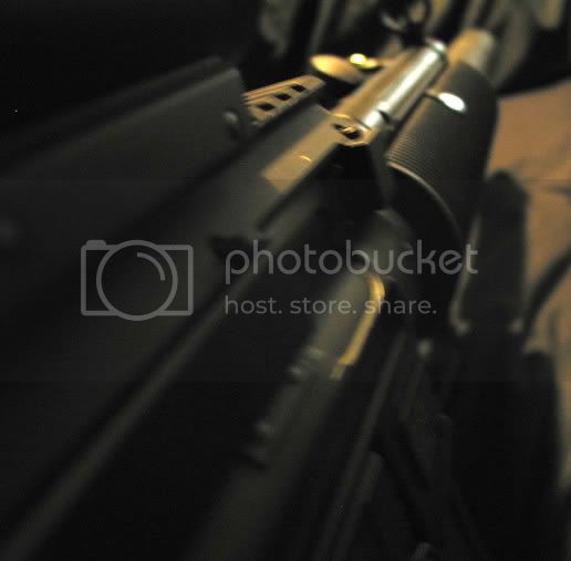 IMG_2193.jpg