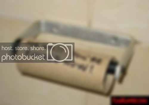 toiletroll.jpg