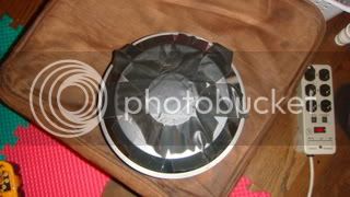 DSC02421.jpg