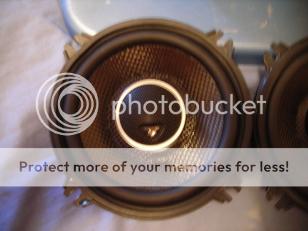 caylorsmarchpics2008026.jpg