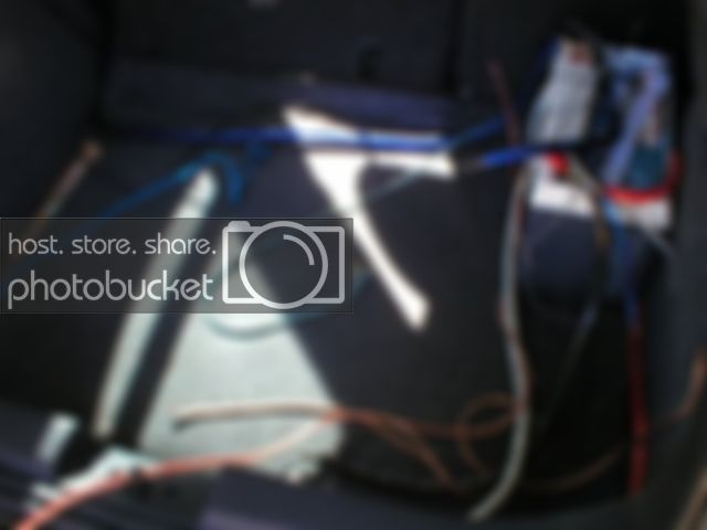 P1010028.jpg