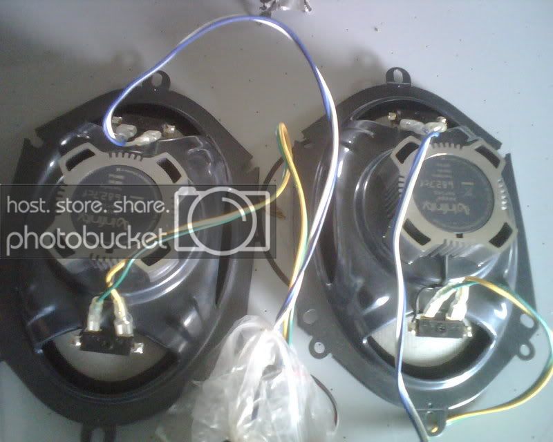 IMG00207.jpg