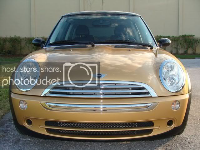 mini1.jpg