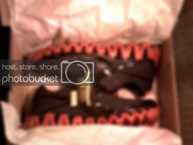 ReebokZigPulse9004.jpg