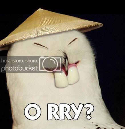 owl.jpg