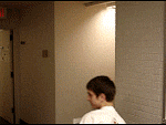 pcr.gif