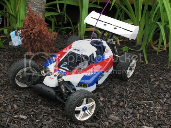 buggy4.jpg