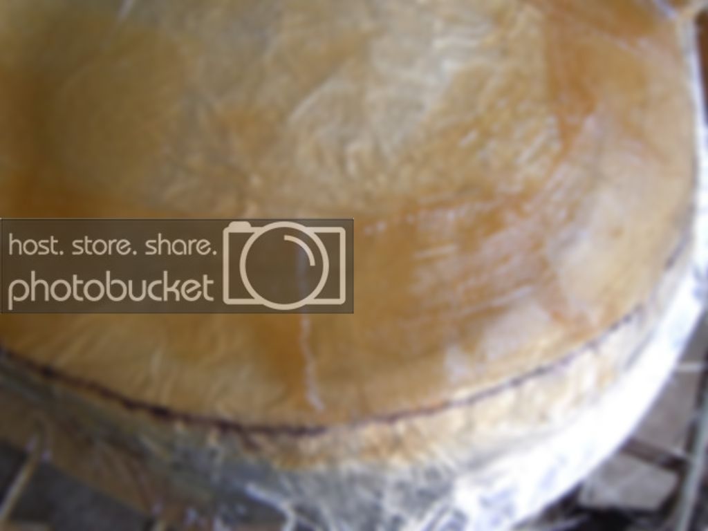 DSCN1729.jpg