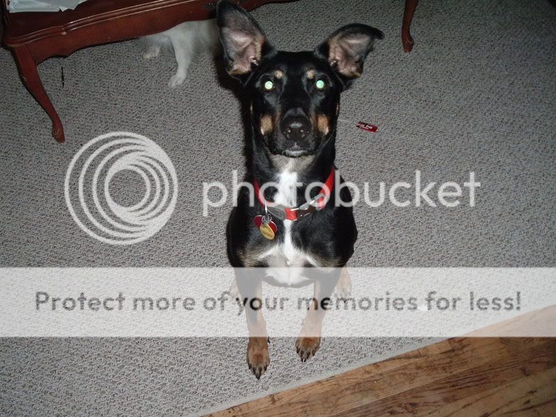 Picture001.jpg