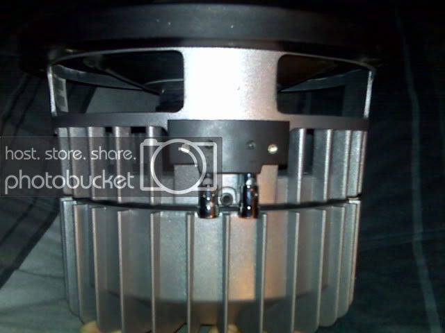 IMG00284.jpg