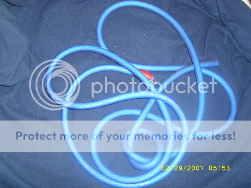 SL270449.jpg