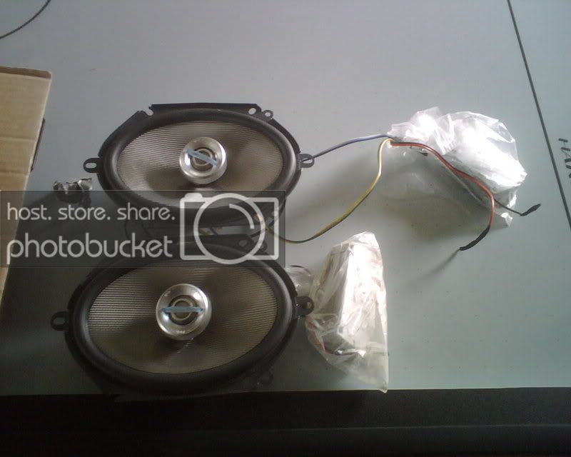 IMG00206.jpg