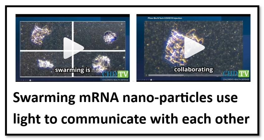 www.naturalnews.com