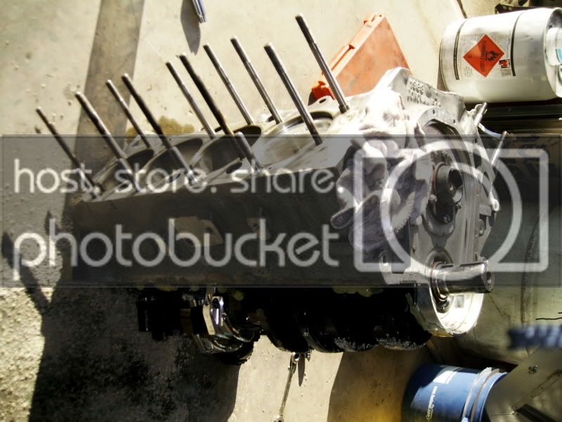 PICT0519.jpg
