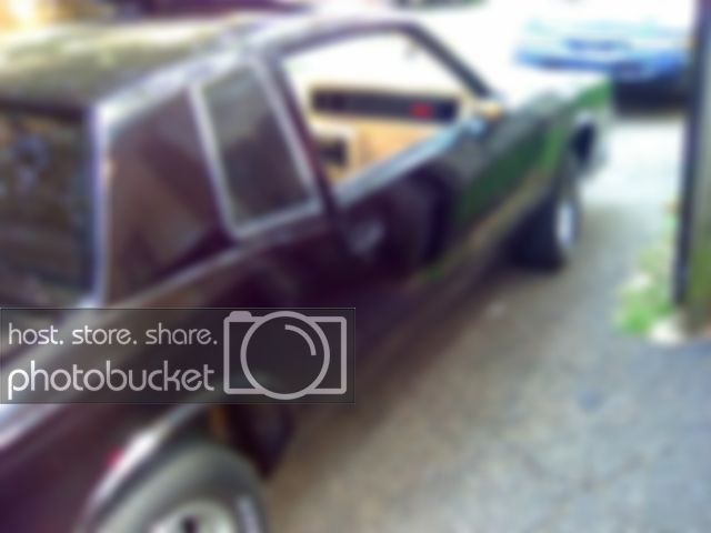 0509091519a.jpg