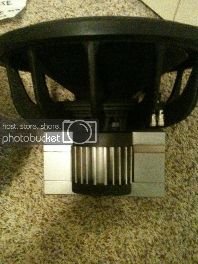 picszzz004.jpg