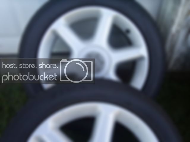 SUC50949.jpg